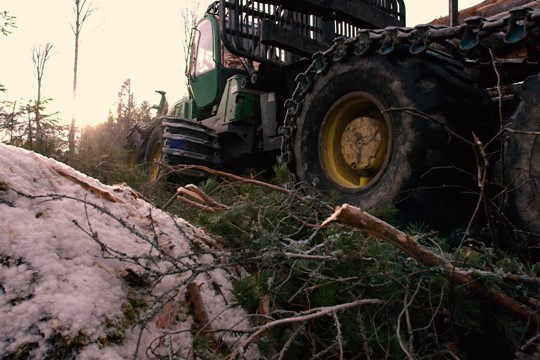 Videoposter Skogen En Plats Fo R Dig Som Vill Ha Ett Fritt Och Sja Lvsta Ndigt Arbete