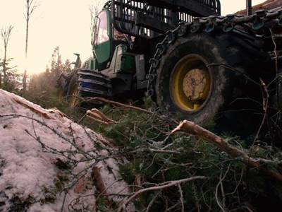 Videoposter Skogen En Plats Fo R Dig Som Vill Ha Ett Fritt Och Sja Lvsta Ndigt Arbete
