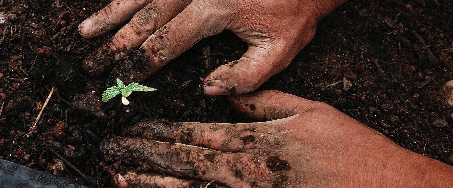 Soil
