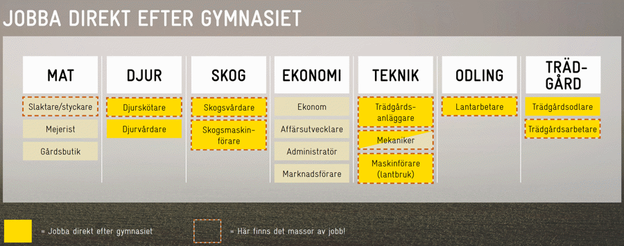 Jobba Direkt