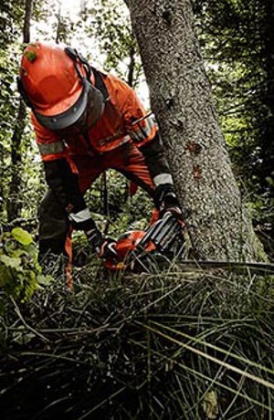 En person använder en motorsåg i skogen.