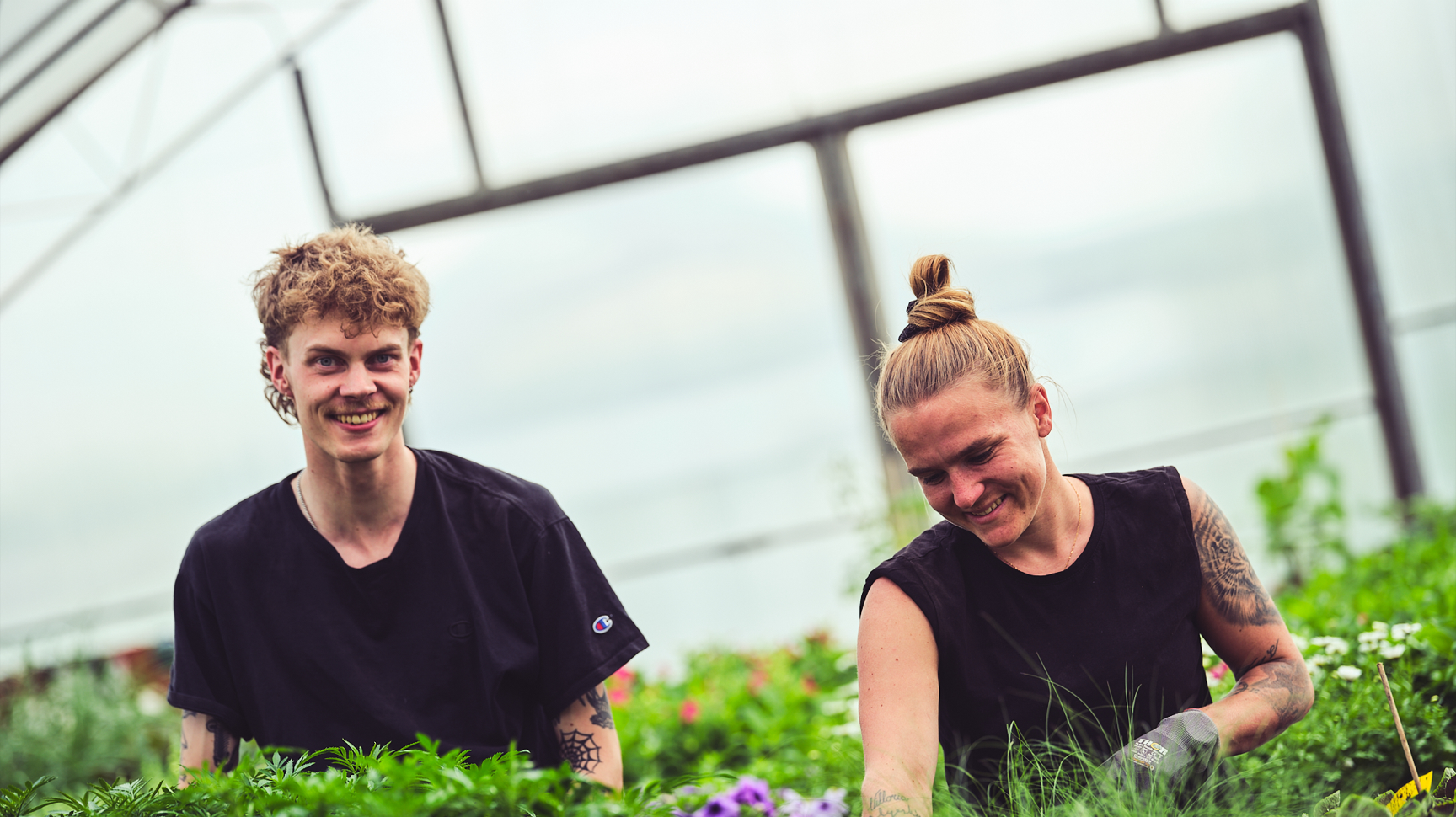 Skärmbild 2026 04 15 162124