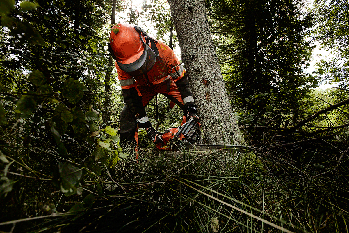En person använder en motorsåg i skogen.