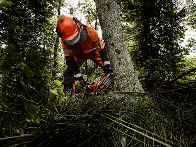 En person använder en motorsåg i skogen.