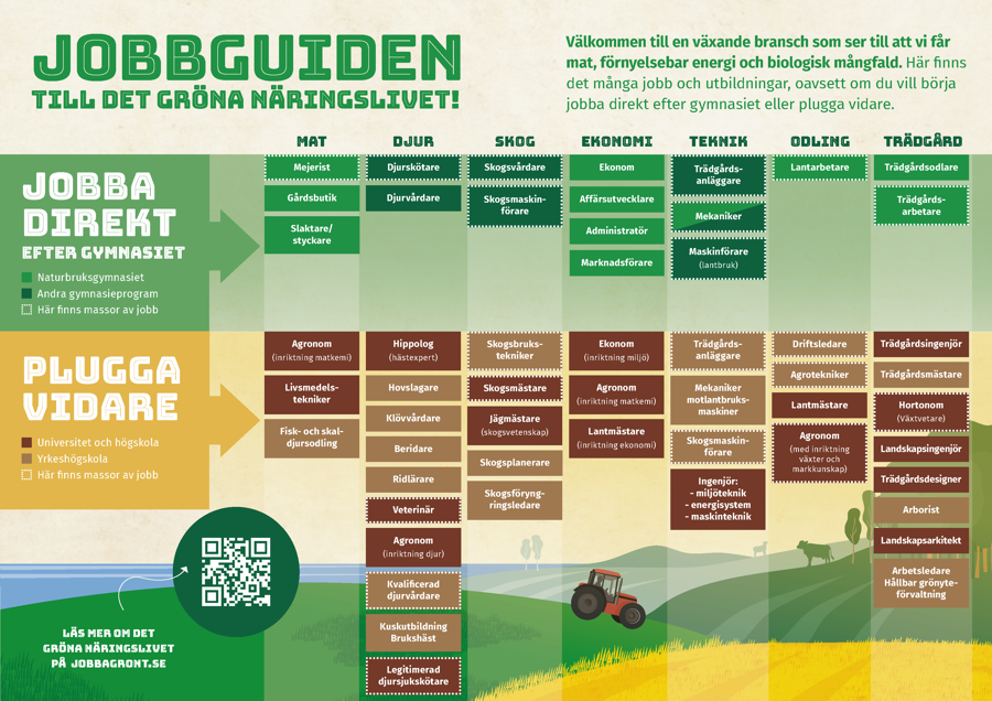 Jobbguide till det gröna näringslivet.
