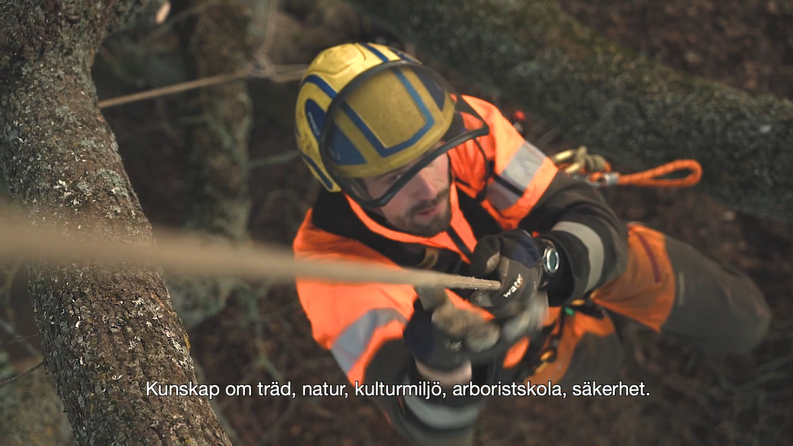 Skärmbild 2026 04 15 132732